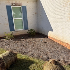 Pine-Straw-Mulching-Services-in-Oxford-MS-Woodson-Ridge 4